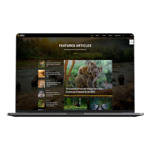 Newspaper ANIMALS MAGAZINE